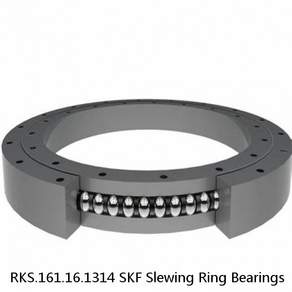 RKS.161.16.1314 SKF Slewing Ring Bearings