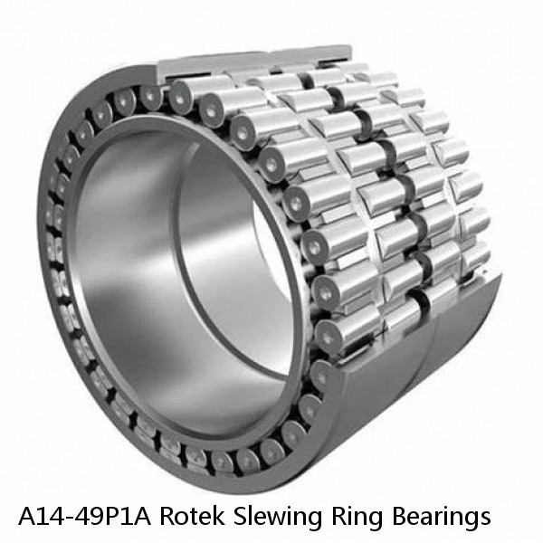 A14-49P1A Rotek Slewing Ring Bearings