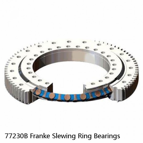 77230B Franke Slewing Ring Bearings