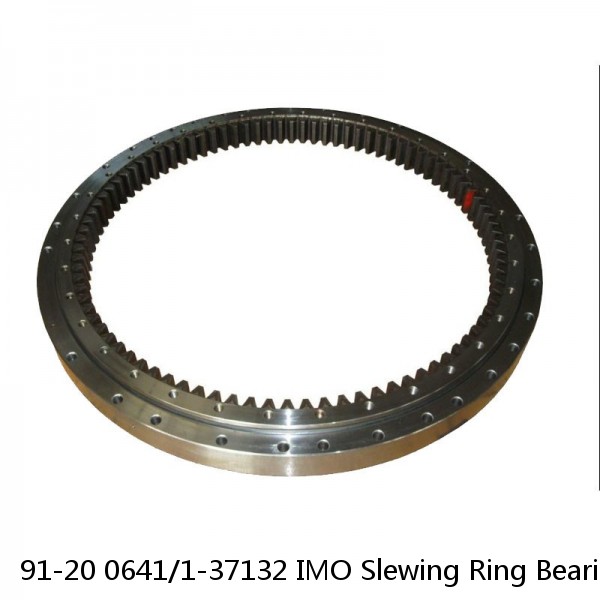 91-20 0641/1-37132 IMO Slewing Ring Bearings