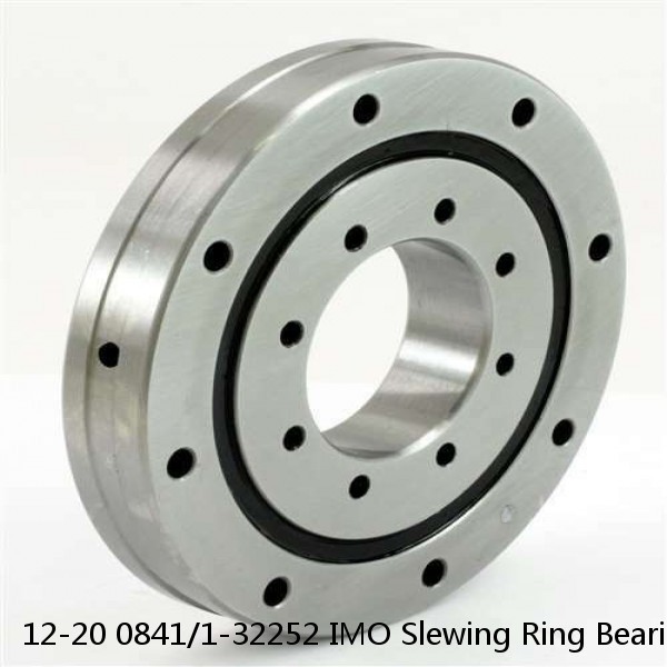 12-20 0841/1-32252 IMO Slewing Ring Bearings