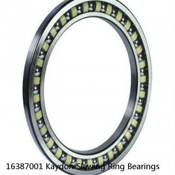 16387001 Kaydon Slewing Ring Bearings