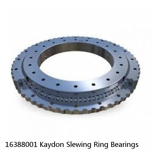 16388001 Kaydon Slewing Ring Bearings