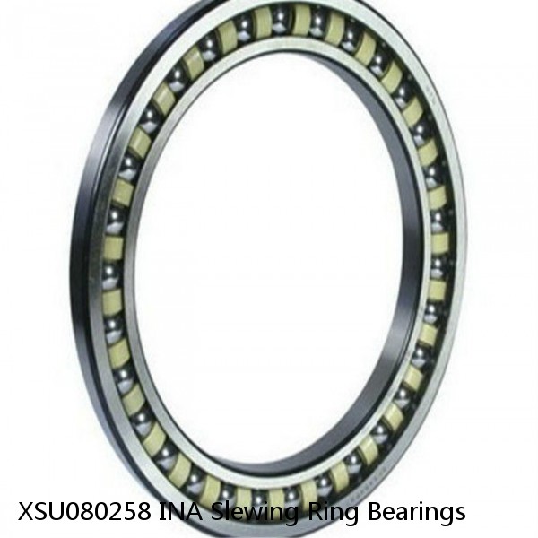 XSU080258 INA Slewing Ring Bearings