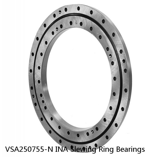 VSA250755-N INA Slewing Ring Bearings