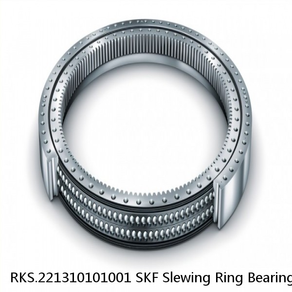 RKS.221310101001 SKF Slewing Ring Bearings