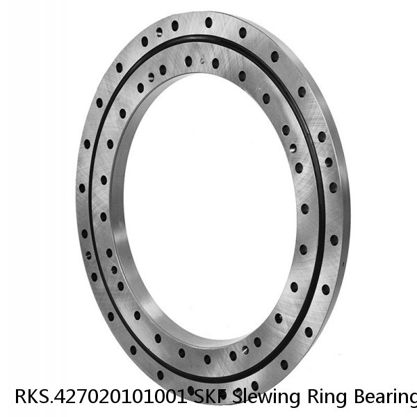 RKS.427020101001 SKF Slewing Ring Bearings