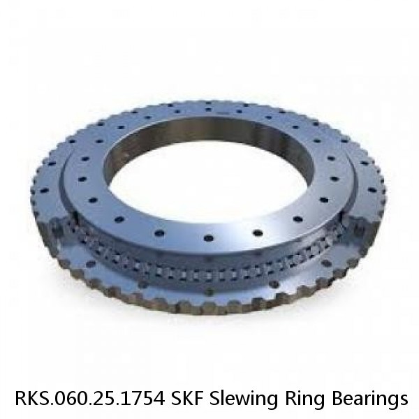 RKS.060.25.1754 SKF Slewing Ring Bearings