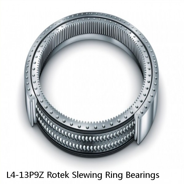 L4-13P9Z Rotek Slewing Ring Bearings