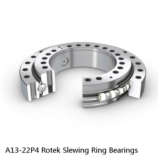 A13-22P4 Rotek Slewing Ring Bearings