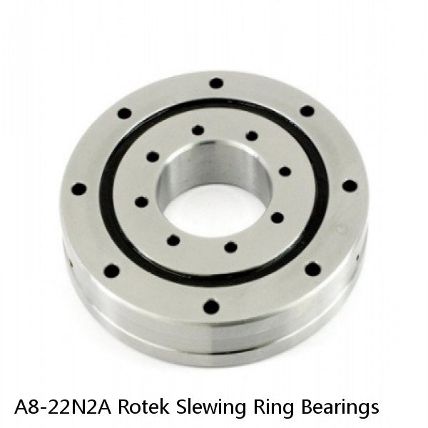 A8-22N2A Rotek Slewing Ring Bearings