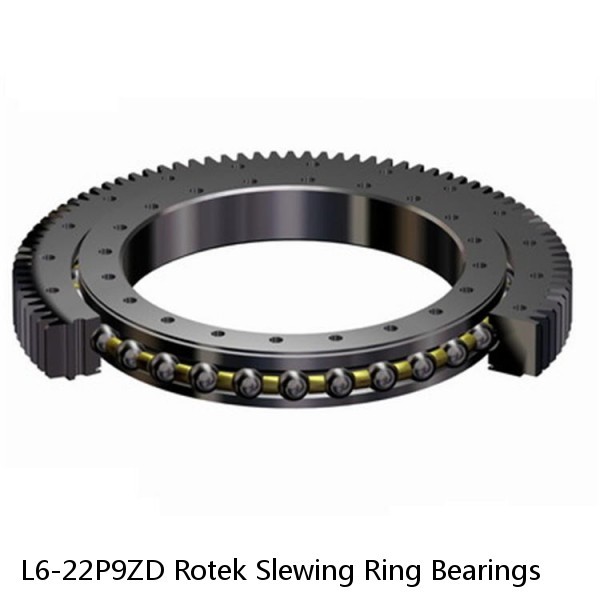 L6-22P9ZD Rotek Slewing Ring Bearings