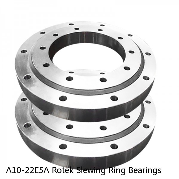 A10-22E5A Rotek Slewing Ring Bearings