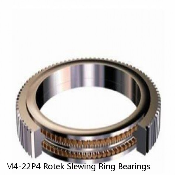 M4-22P4 Rotek Slewing Ring Bearings