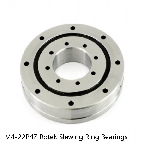 M4-22P4Z Rotek Slewing Ring Bearings