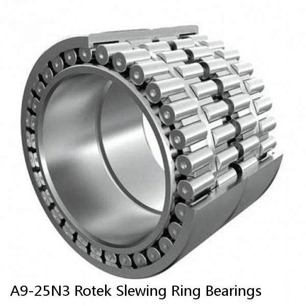 A9-25N3 Rotek Slewing Ring Bearings