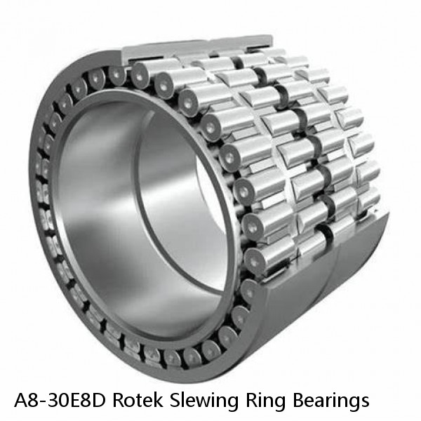 A8-30E8D Rotek Slewing Ring Bearings