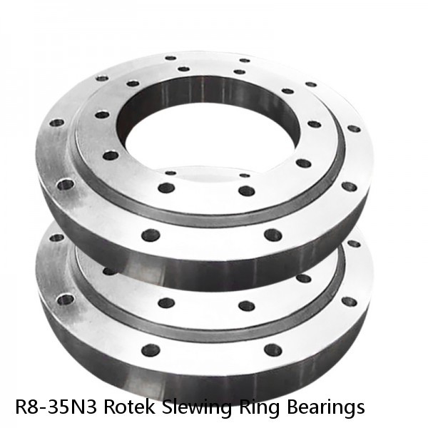 R8-35N3 Rotek Slewing Ring Bearings