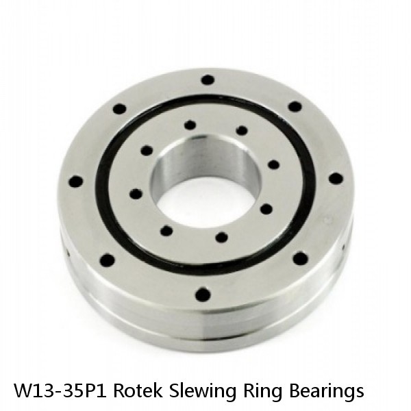 W13-35P1 Rotek Slewing Ring Bearings