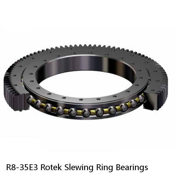 R8-35E3 Rotek Slewing Ring Bearings