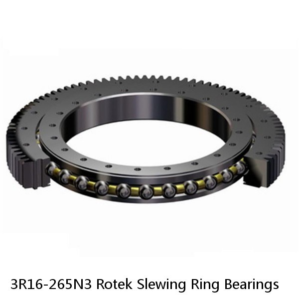 3R16-265N3 Rotek Slewing Ring Bearings