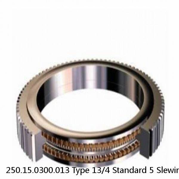 250.15.0300.013 Type 13/4 Standard 5 Slewing Ring Bearings