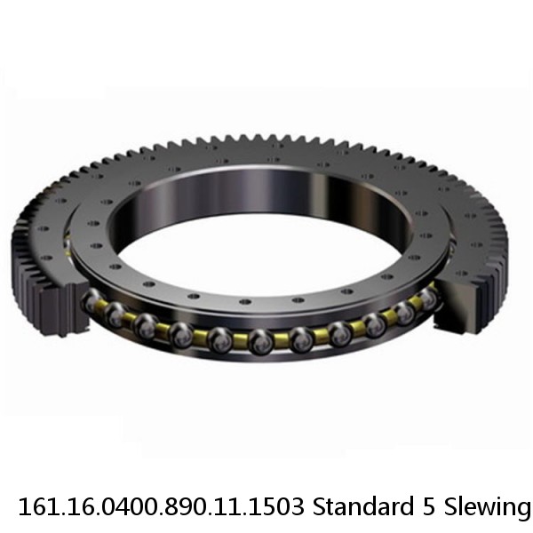 161.16.0400.890.11.1503 Standard 5 Slewing Ring Bearings