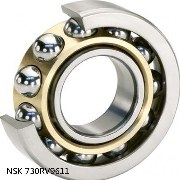 730RV9611 NSK Four-Row Cylindrical Roller Bearing