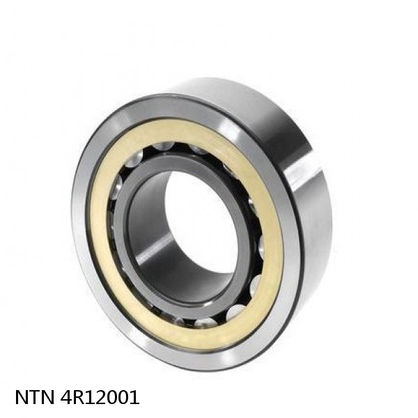 4R12001 NTN Cylindrical Roller Bearing