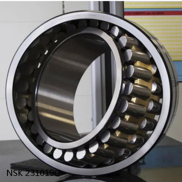 231019C NSK Railway Rolling Spherical Roller Bearings