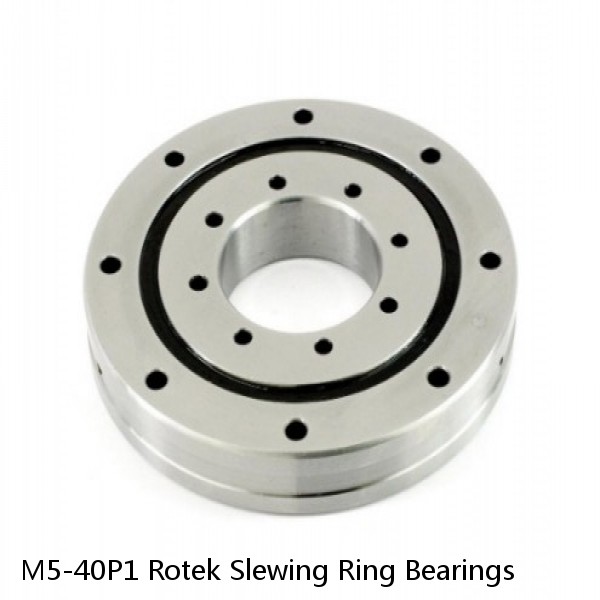 M5-40P1 Rotek Slewing Ring Bearings